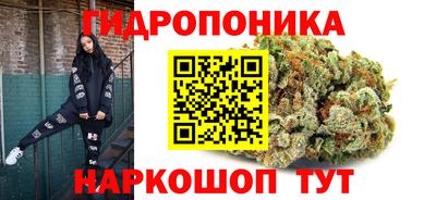 мяу мяу мука Баксан