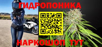 мяу мяу мука Баксан