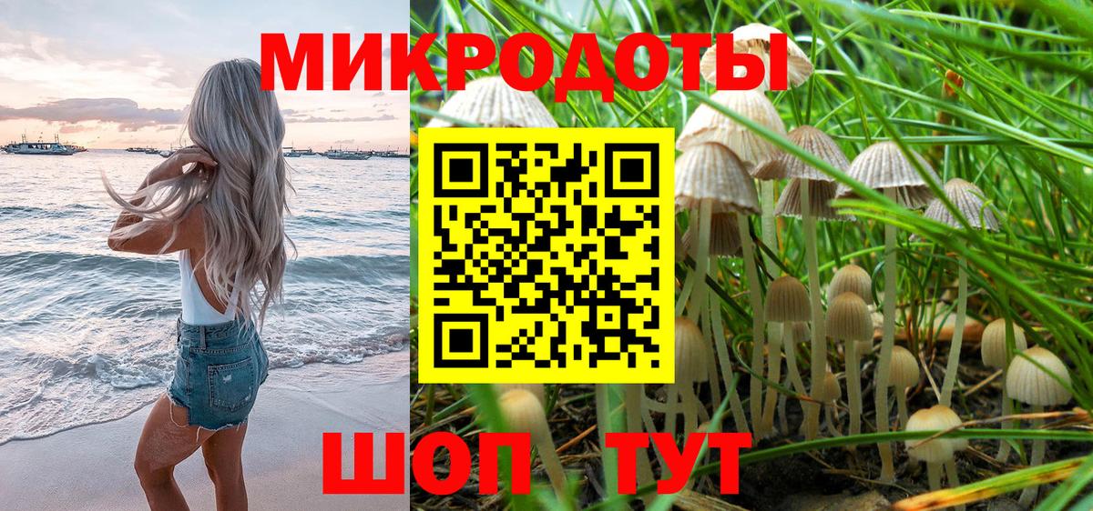 Псилоцибиновые грибы Psilocybine cubensis Алушта