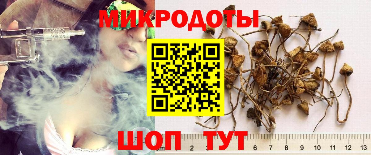 Псилоцибиновые грибы Magic Shrooms  Вход с VPN  купить   Алушта 